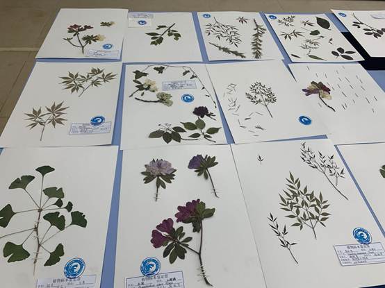 ˵��: S3IS%OX9KU5MJXUJZV7D~`U